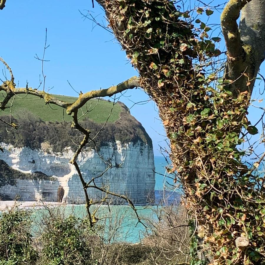 Le Ponton Lägenhet Fécamp Exteriör bild